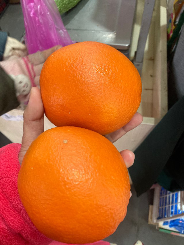 微信图片_20220223133922.jpg