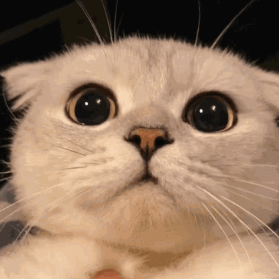 085036jzc418552hi0co54.gif