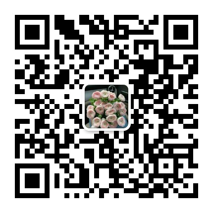 20220412113816front2_0_121622_FhLgGm6iJbfdBpZwxJ_n6yMx8_1C.png