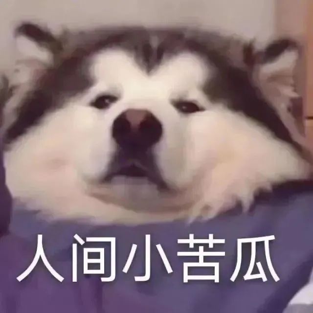 093629b7bl55zktgz87d9d.jpeg