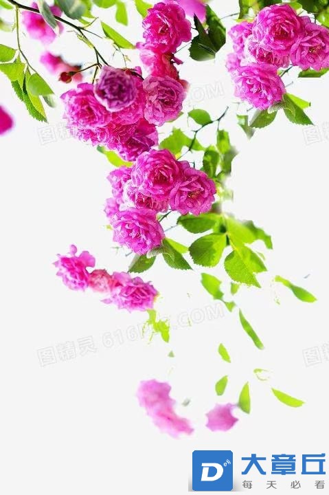 20220505073430front1_0_205008_Fg0-FZjZZSQ8_xGpka-UxuERskci.jpg