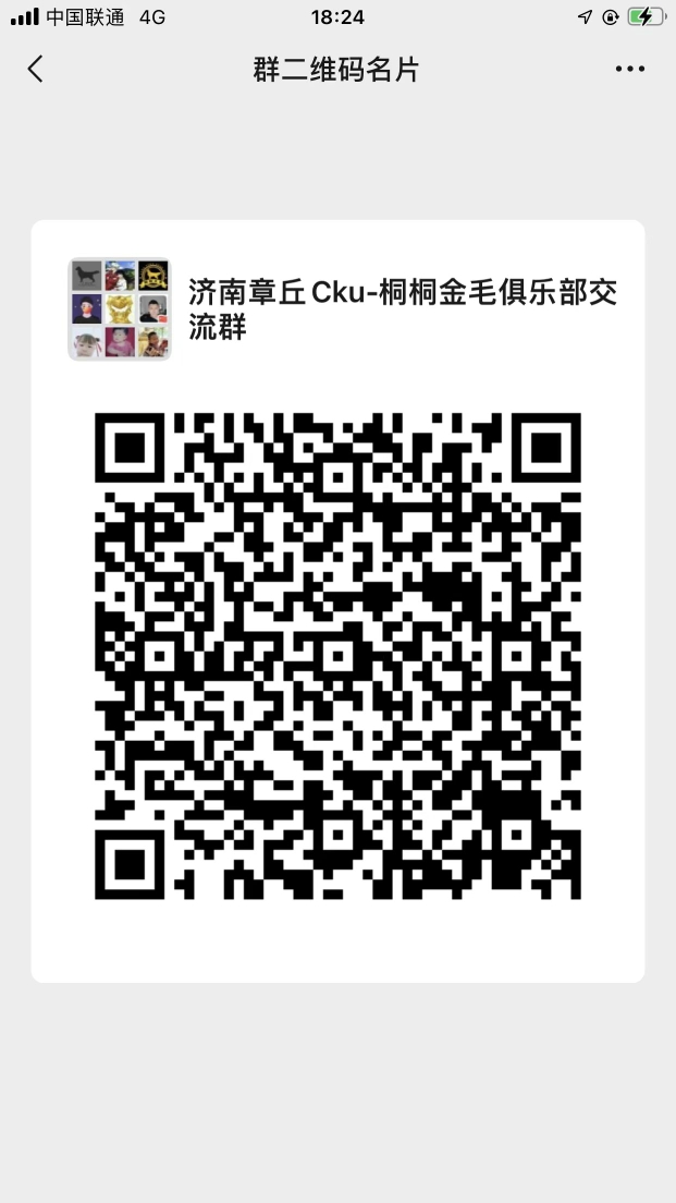 20220516183351front2_0_113841_FutqxRwDBScW0CB5Bnms4AgkCh59.jpg
