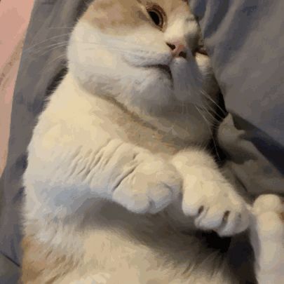 175351v7ww1g9pn2wpswn7.gif