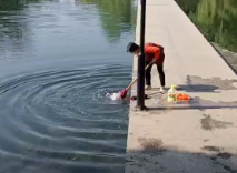 微信截图_20220607083747.png