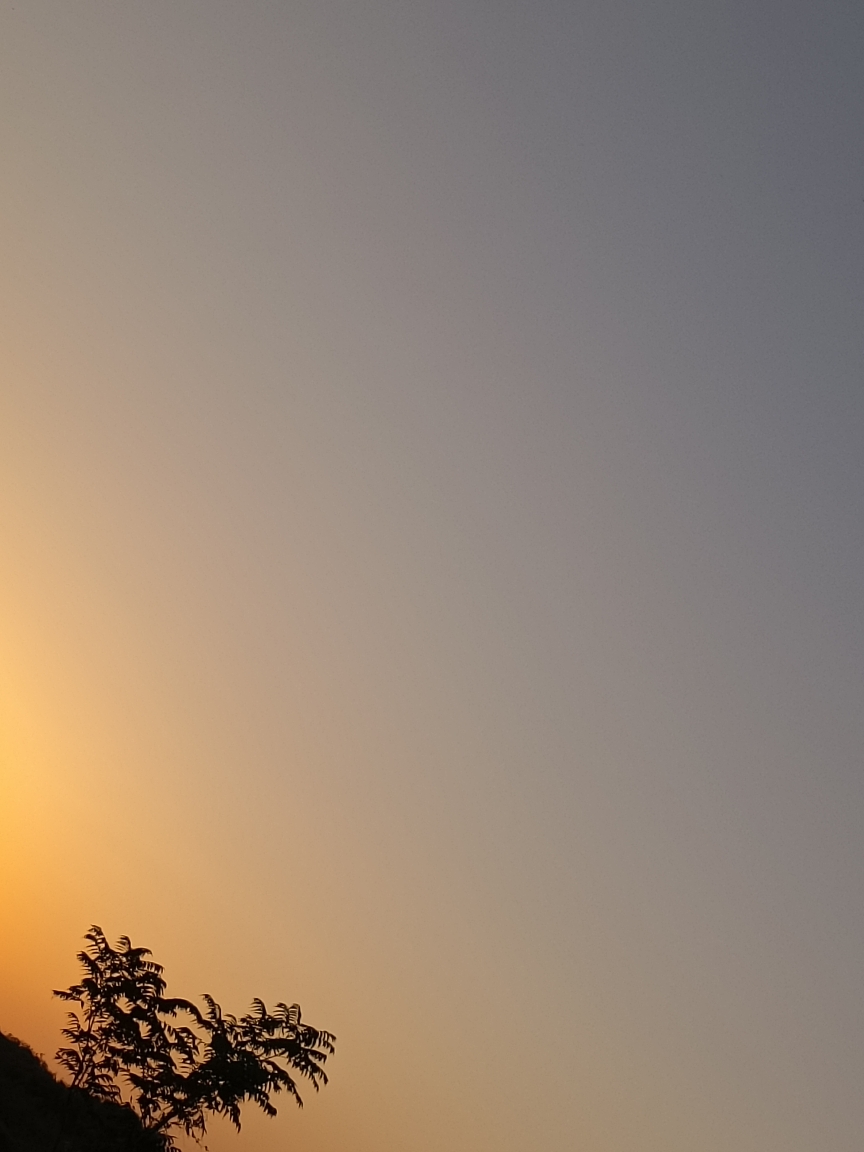 20220607100514front2_0_115230_FkRq6o-9jnnWaB1EKdPGbk_7CS5A.jpg