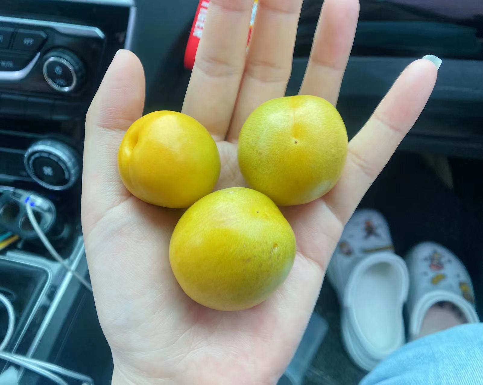 微信图片_20220621081849.jpg