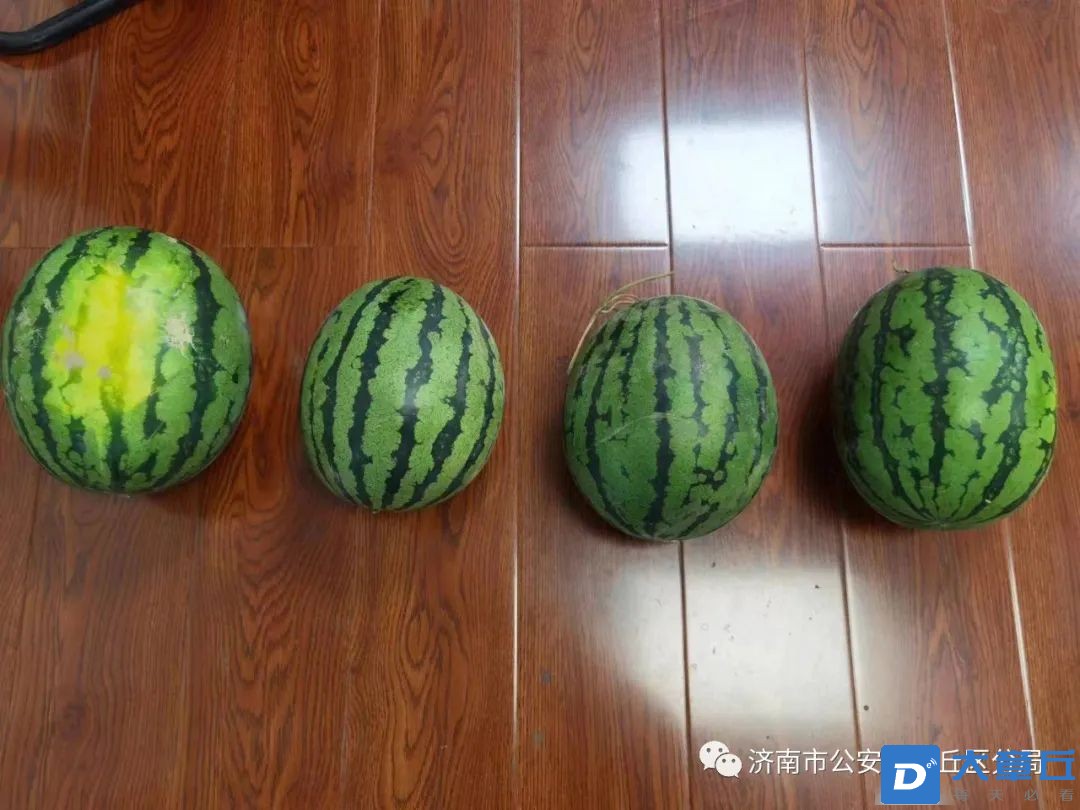微信图片_20220630092901.jpg