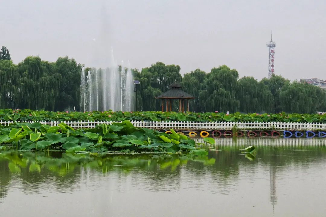 微信图片_20220713085402.jpg