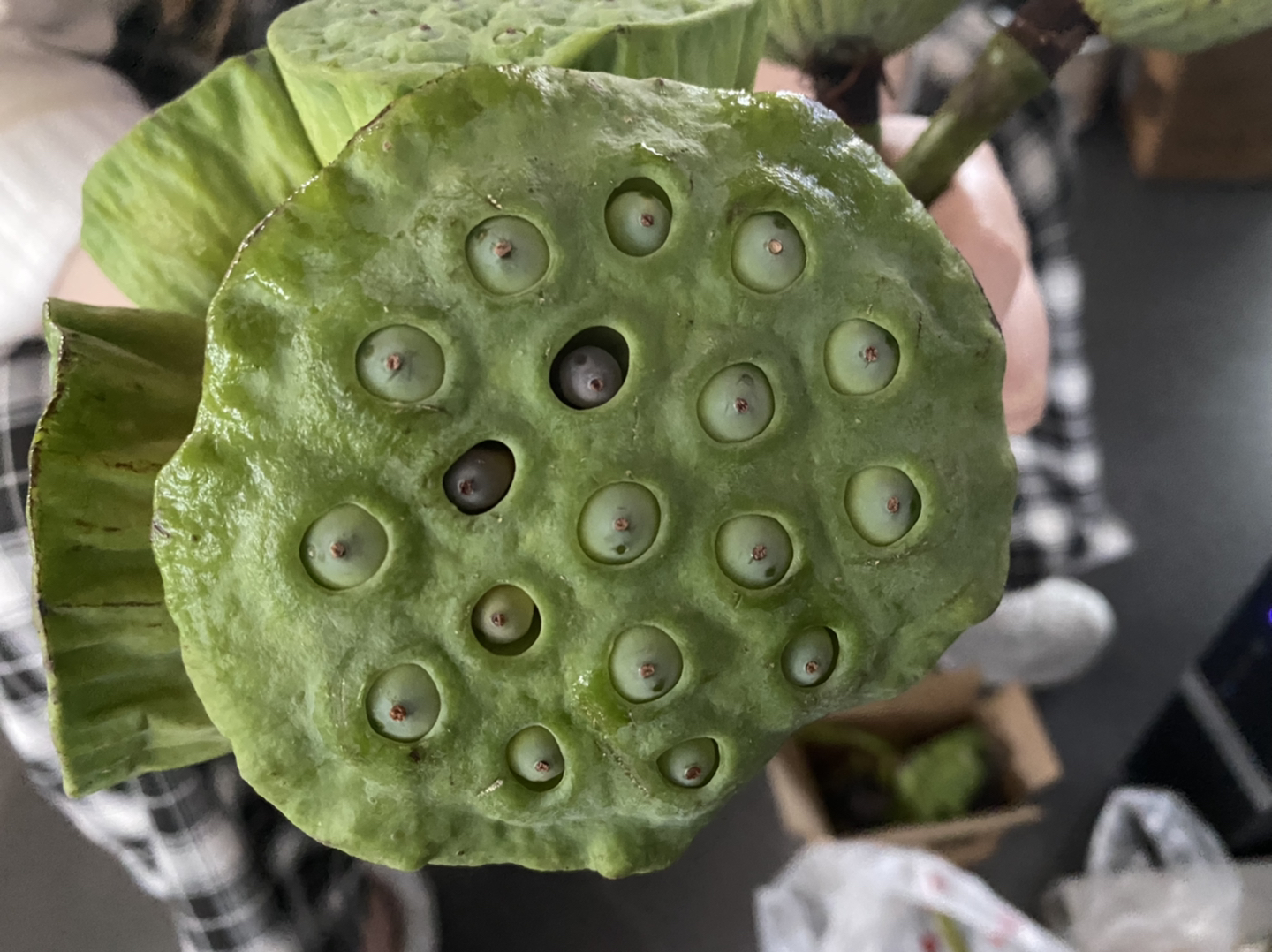 20220713174806front1_0_208859_FpzpEU5nFpVR9ZUVg41JVUXz9Fhr.jpg