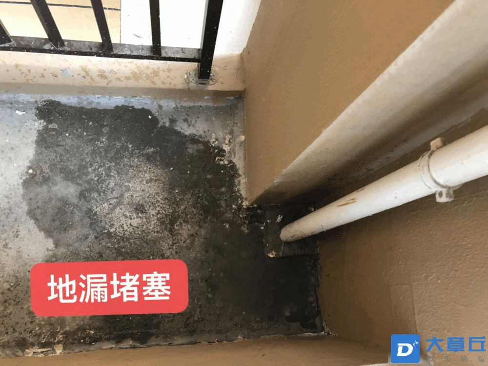 20220721110811front1_0_171135_FhEUlkuDM0B1wnYkH_DykzKIrsDH.gif