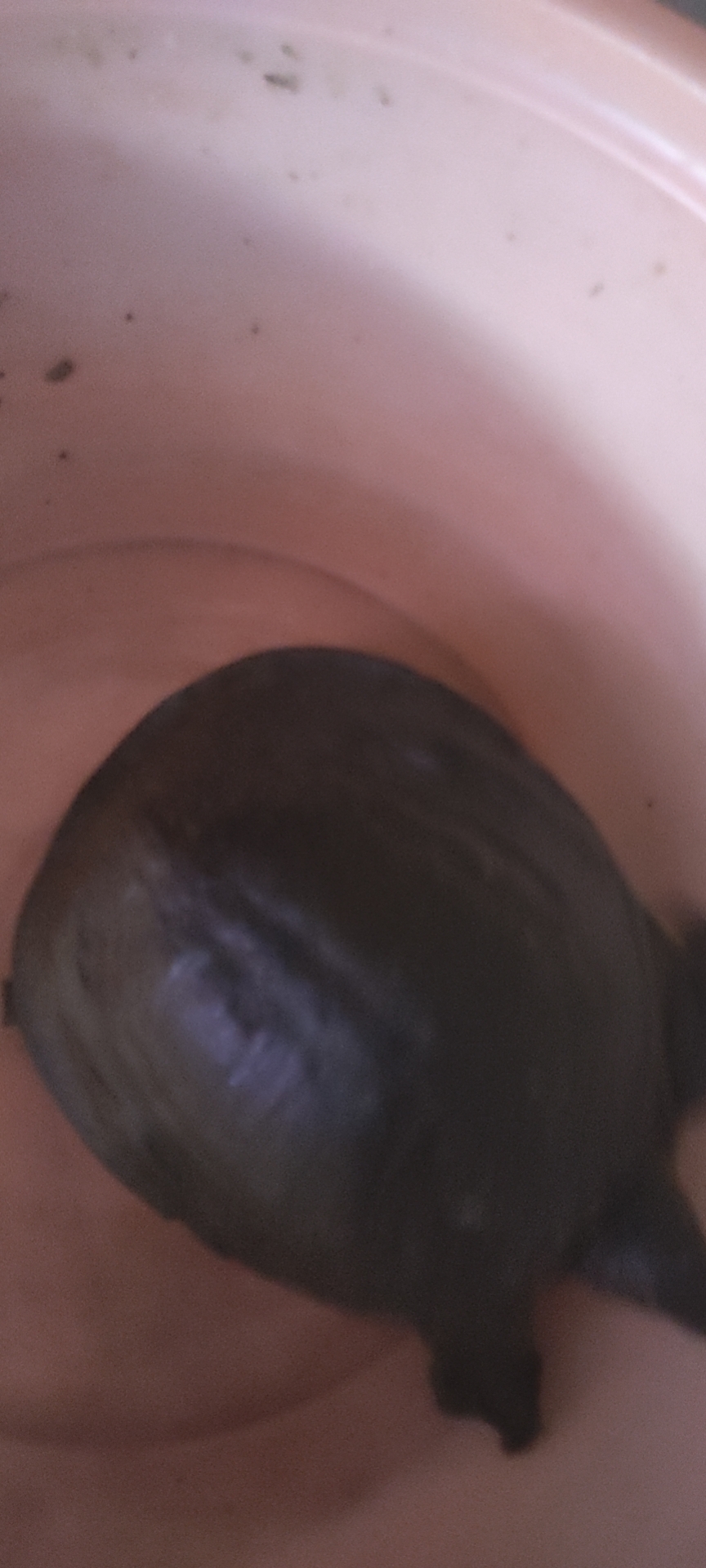 20220725081013front2_0_183434_Fn2Sli302CvzyB0W9Go33TDjoO6e.jpg