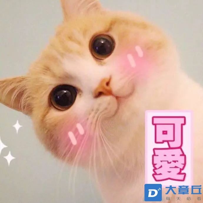 92740b070e284492aaacdb74626c09bb.jpeg