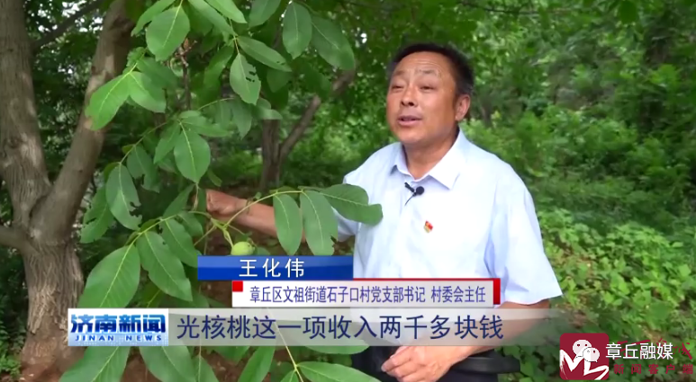 微信图片_20220729100655.png