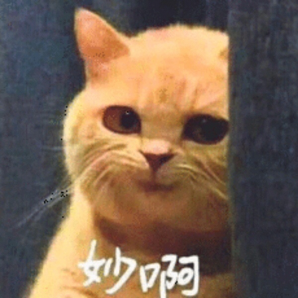 20220801230333front1_0_162387_FiaR_fwrmY-qXFIIXqKqObl0FCsb.jpg