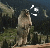 ntrB-hrfcctm3551555.gif