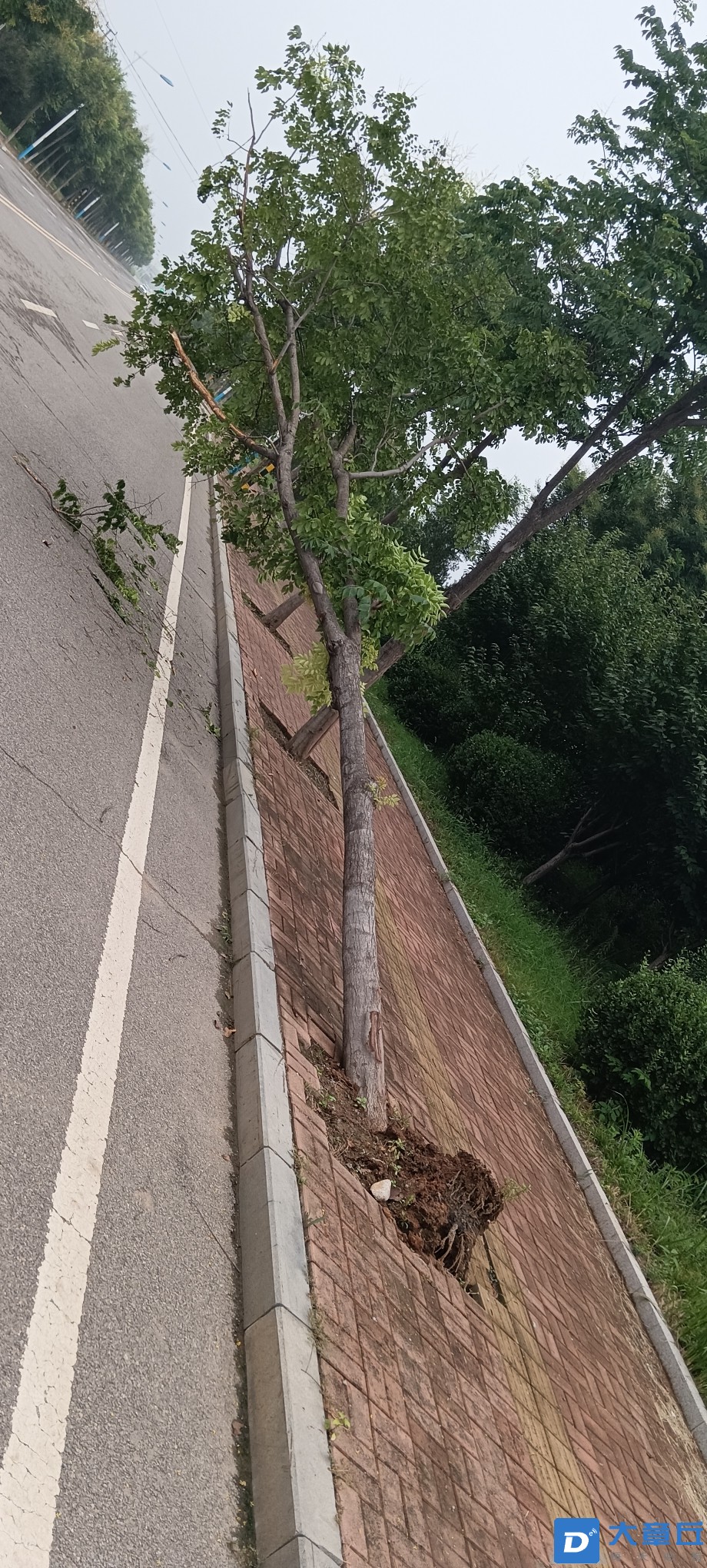 20220812083638front2_0_108791_FmrFv_15J9QZcSxyMaRrR0A0ZV8n.jpg