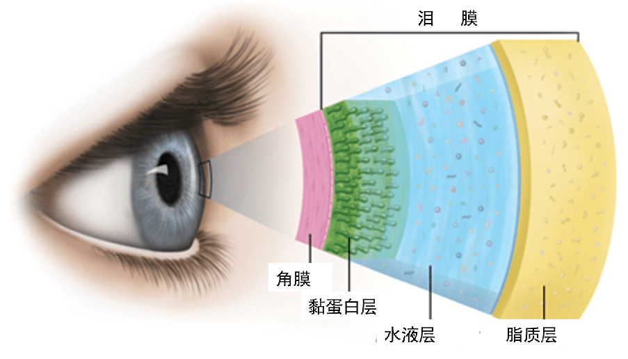 微信图片_20220812083228.png