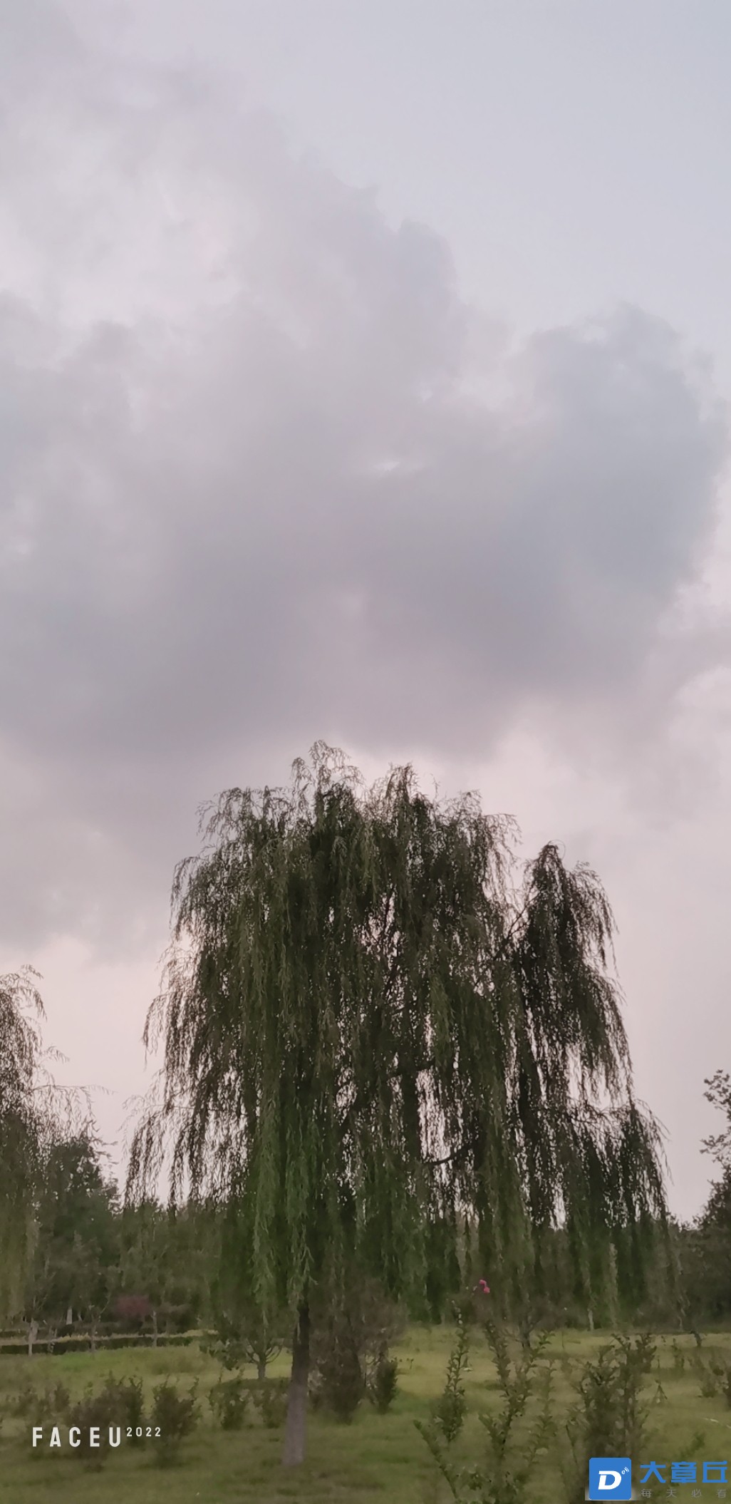 20220820202808front2_0_7232_Fkki7naSNU3b-fun1ioBaaS6jn30.jpg