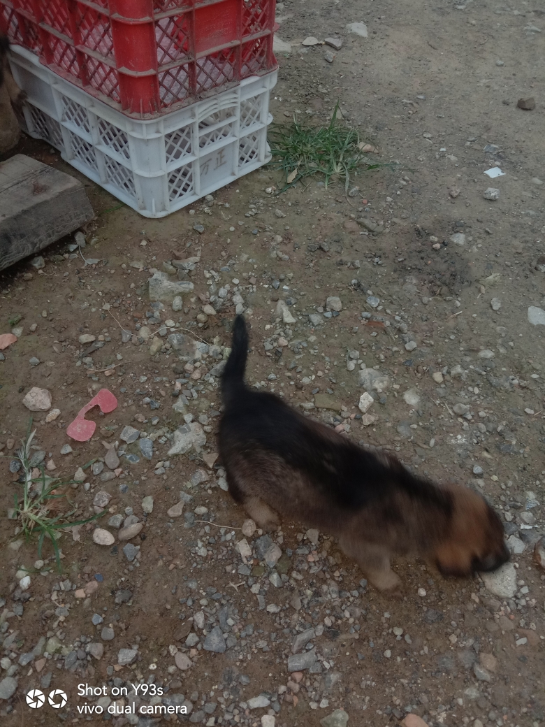 20220821073602front2_0_212370_FvjZJTFWQxt2nYma77gBcXN-MsL-.jpg