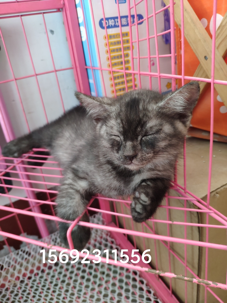 20220827154126front2_0_78877_Fh1DkG0pMRsHKxn04aLRbYeXjOo2.jpg