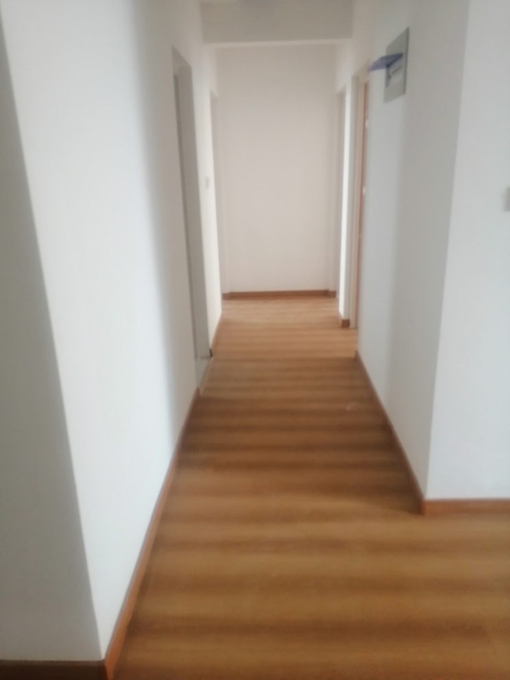 20220830131704front2_0_88972_FiP49d6K2oObQ0Ng_887DaYTEIzu.jpg