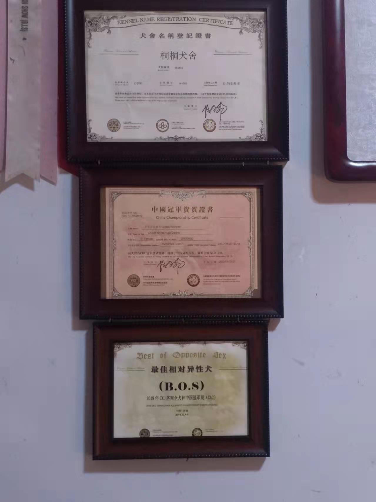 20220901191405front1_0_113841_FqXPyOW0T_tvC66F4Cr9XvRLR1kW.jpg