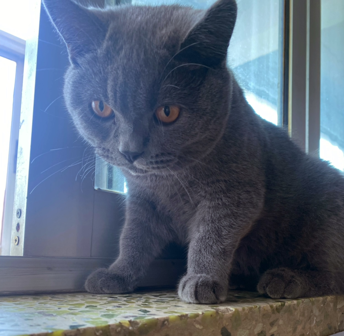 20220915150850front1_0_27755_Fh3-VIIhRgdZLwb248BHhWvm4gJ_.jpg
