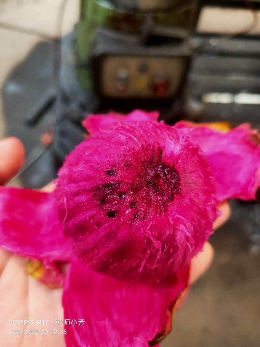 20220920123942front2_0_193466_FpYag9czGj2RdOB_y51B3J-LV5oX.jpg