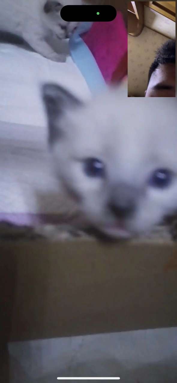 20220928090611front2_0_223424_FrtCy2coSMXnq-M7DVWUeg8EJgLA.jpg