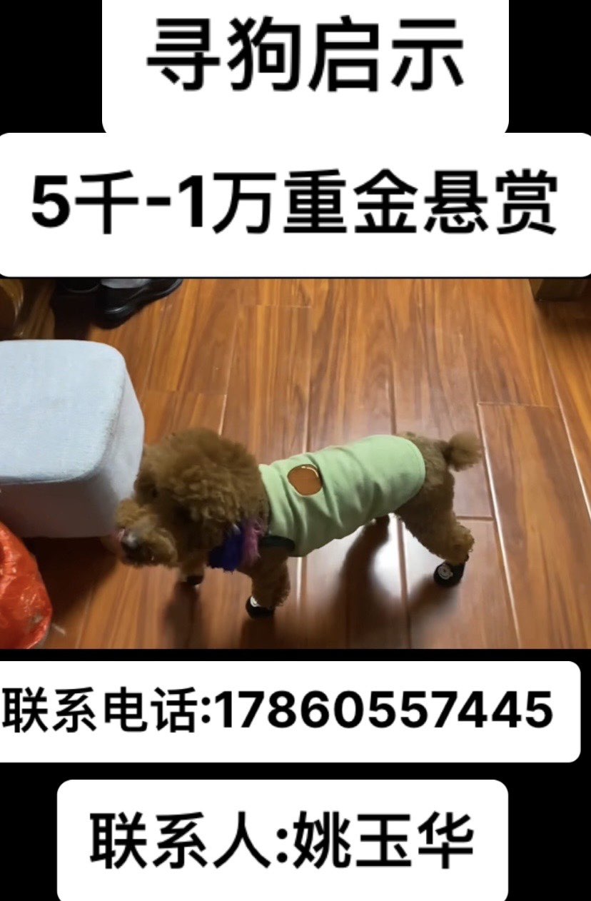 20221009213704front1_0_108014_FtltufmVHcHvl2tDw3O9zr33hyn1.jpg