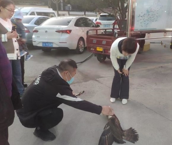 微信图片_20221013155145.jpg