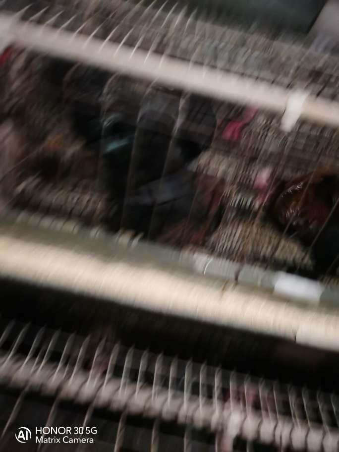 20221013171103front2_0_68589_Fv-wptuMDrmwbYrbLur4tEXRJ4Aj.jpg