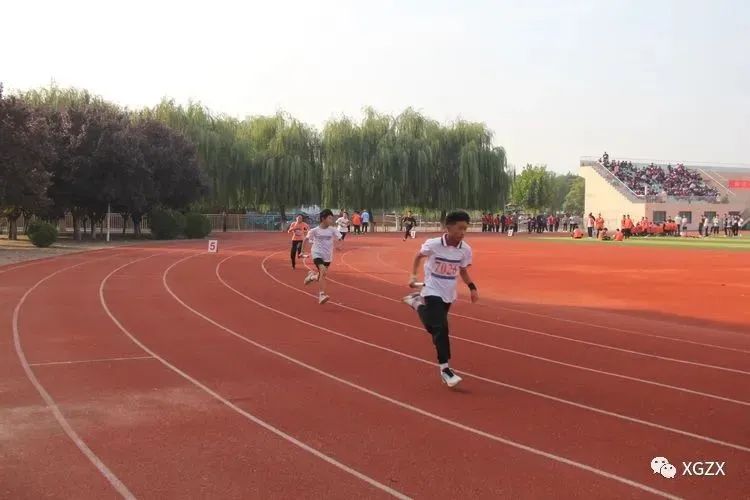 160445qw73fdx3lw66lymx.jpeg