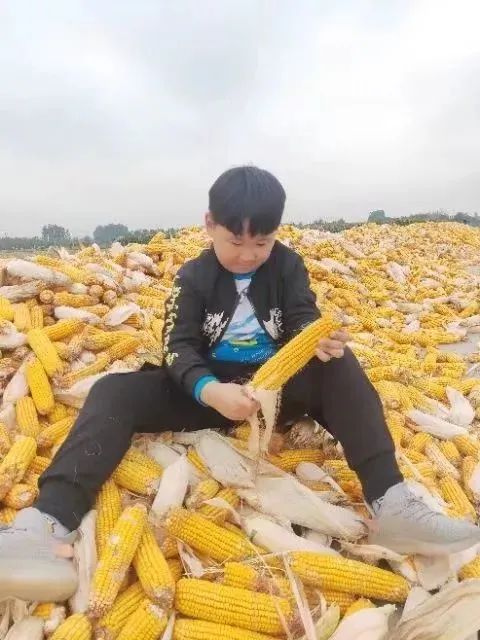 114202j27lvbppbym60g72.jpeg