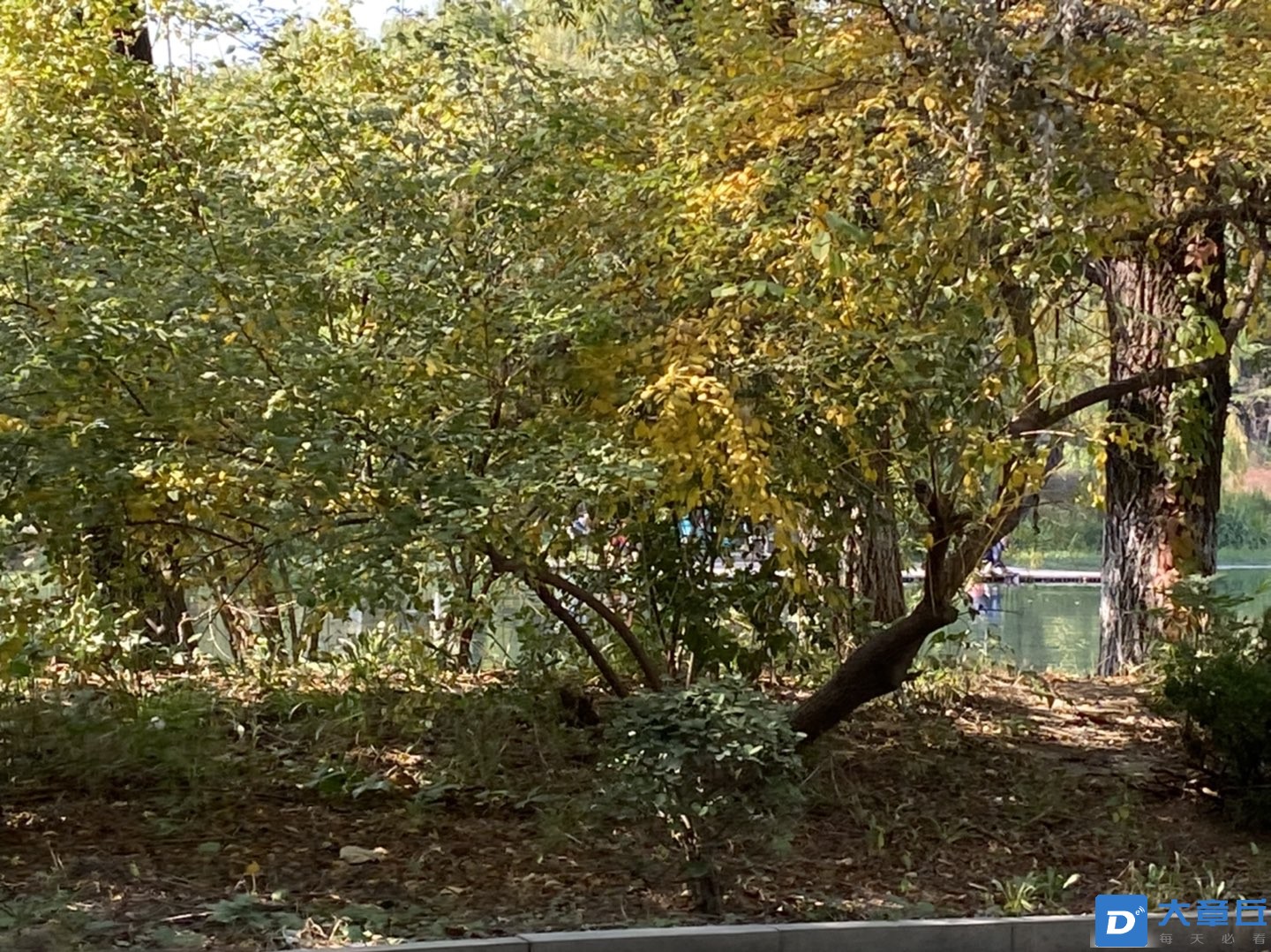20221025180108front1_0_213828_FmHKunK_Kl-DvZiGaGjfDqMfDIW5.jpg