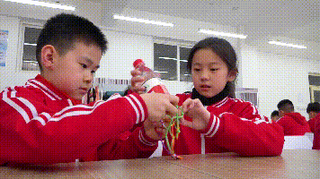 115531xdf7kzjdvgs7ek7v.gif