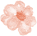 085404k0c0wijjajuuddip.png