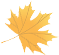 090332bzfju6e7prdspzip.png