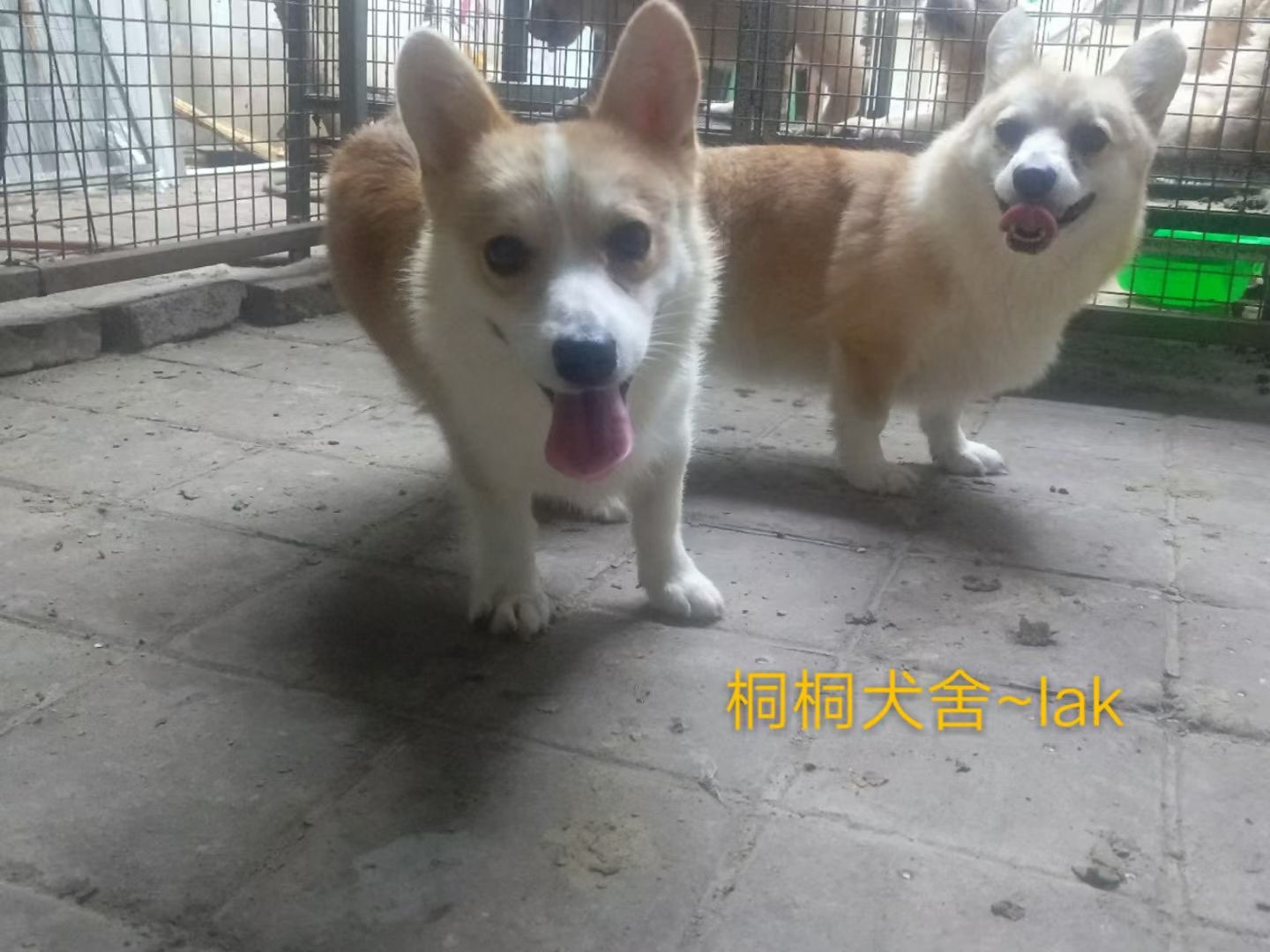 20230103215943front1_0_113841_FroLRd63-j8C9W81YT03fkQ37YFv.jpg