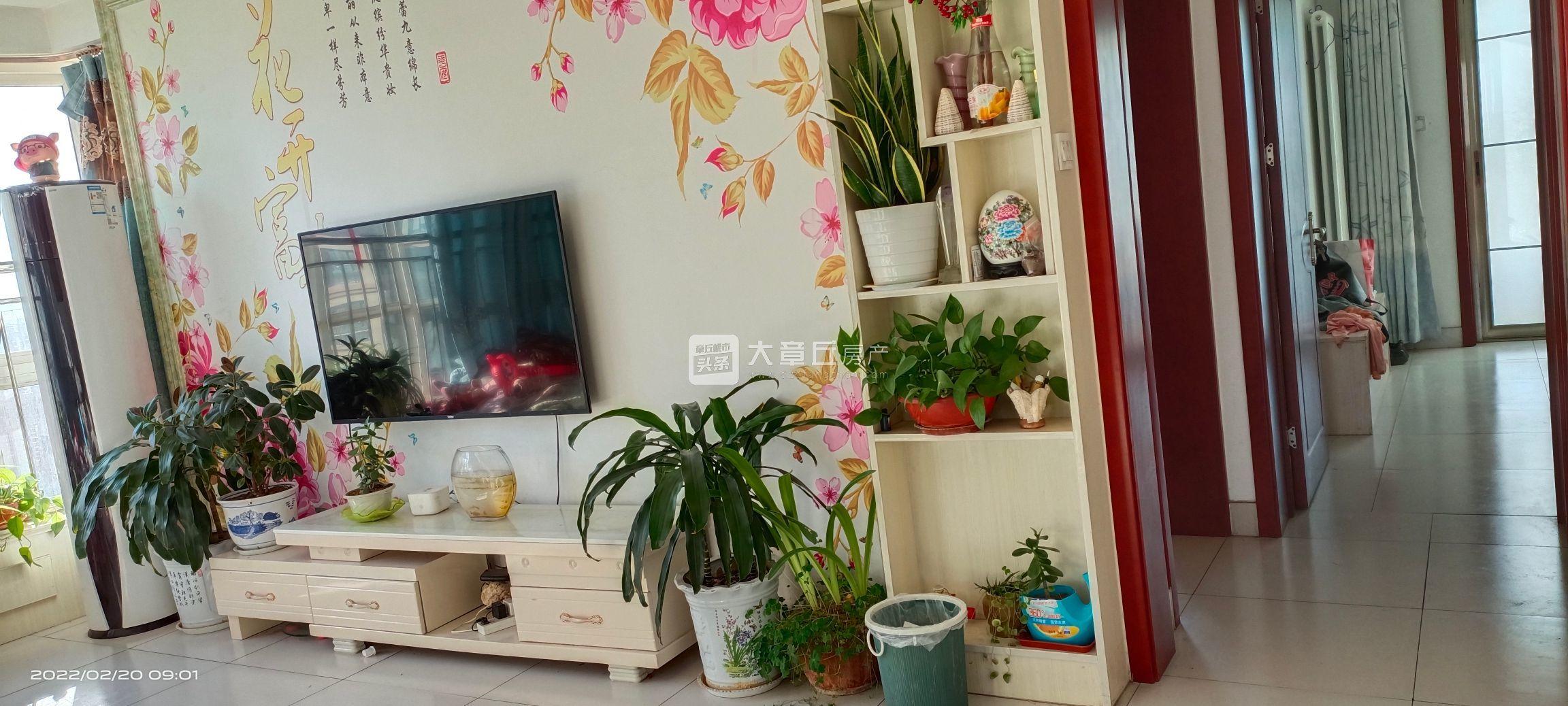 093924olxgxunuxb5x89kq.jpg