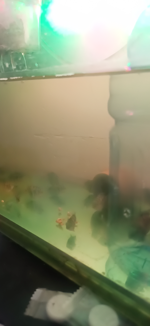 20230213115330front2_0_34915_Fjk4ZBzn1ZdO9gBWtziZ3fZLCOSu.png