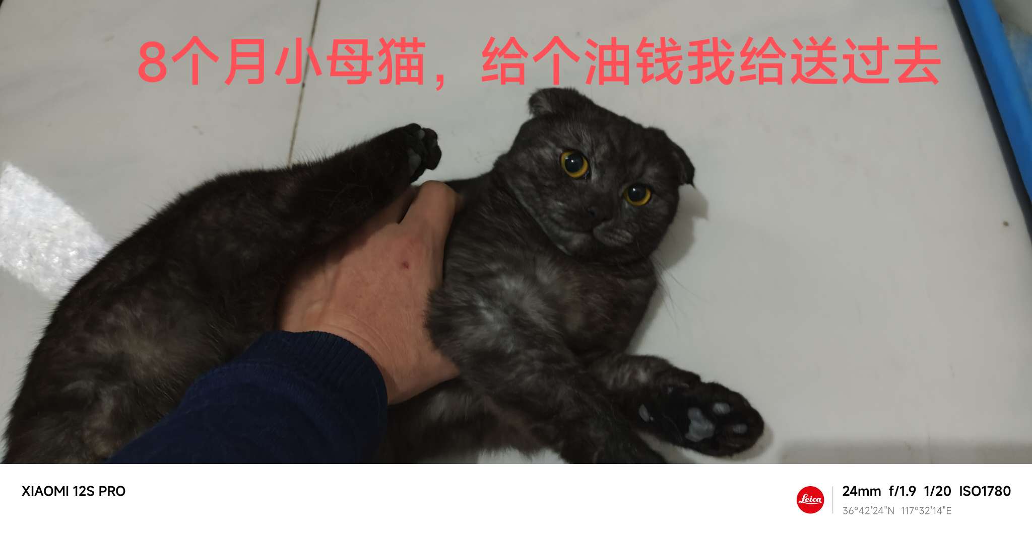 20230224205849front2_0_78877_Fma70Sam19AFfm3BOwMT4m5LL-dC.jpg