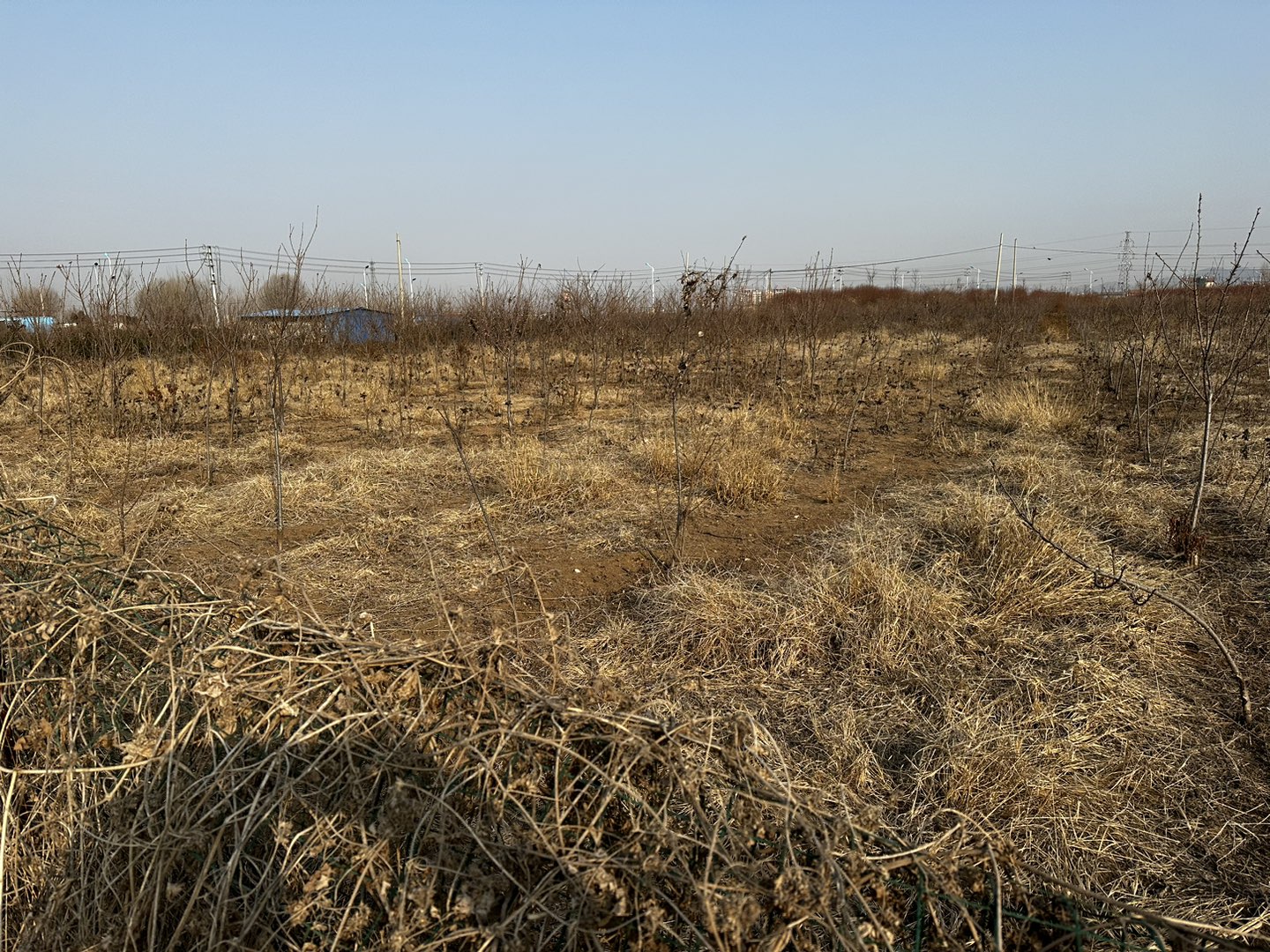 20230310131432front1_0_175375_Fmt7hva8R9zu14CfXF0AE-CcGHYb.jpg