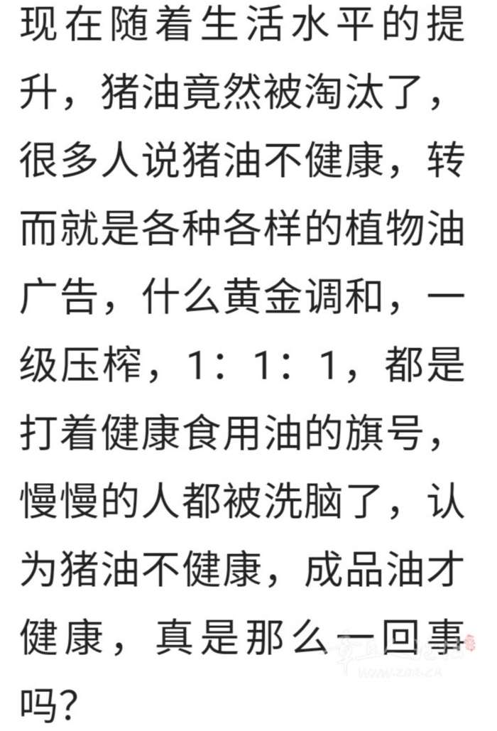 20230311214305front2_0_152840_FnzZS1XeBQwjlgfwoRs98LSG-c9H.jpg