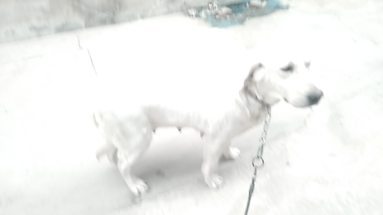 20230317063210front2_0_76882_FrnaX0KgGEah6CvC35ZwL0Euga3t.png