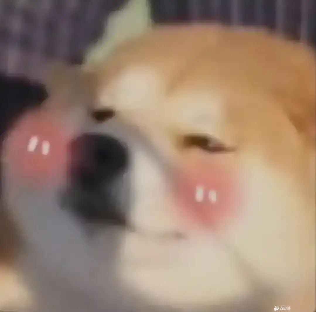 20230318092912front1_0_233930_Fm38WuEcukuKdubJ4XnMATBcczO6.jpg