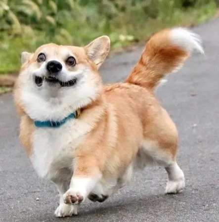 20230316215042front2_0_152840_FjqPkdgBaeFKYhnSgTpet7ZE4xE_.jpg