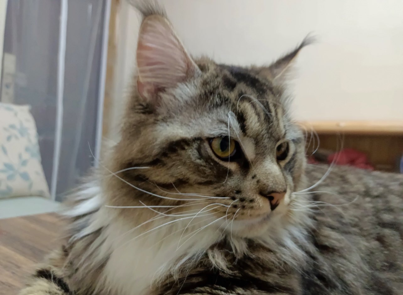 20230318171906front1_0_233560_Fq-S8QocOSx8vcrWRjga_KRIvK75.jpg