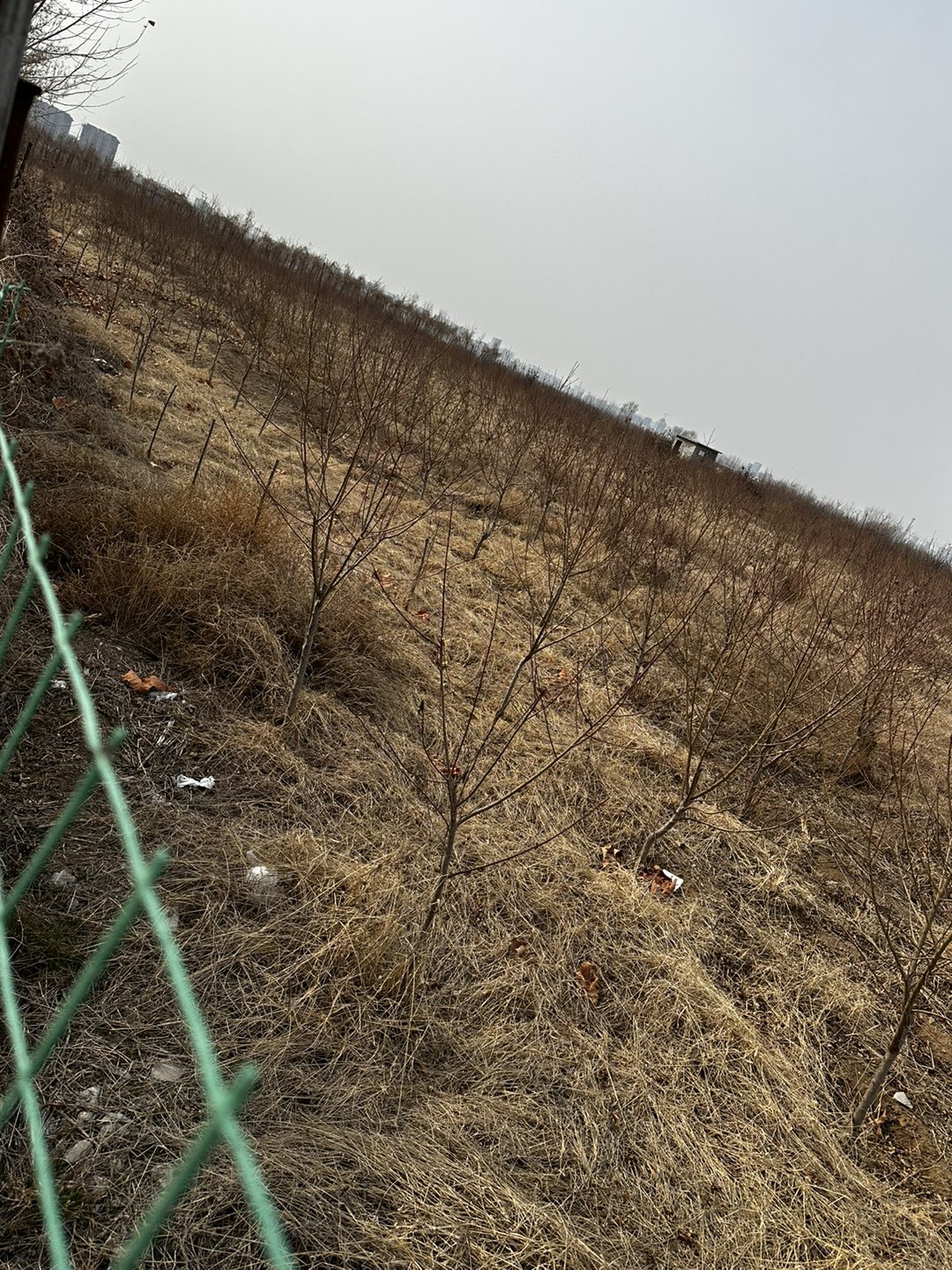 20230328093514front1_0_175375_Fnot_L1VqqxcBHP-DlaqvcW-hiLB.jpg