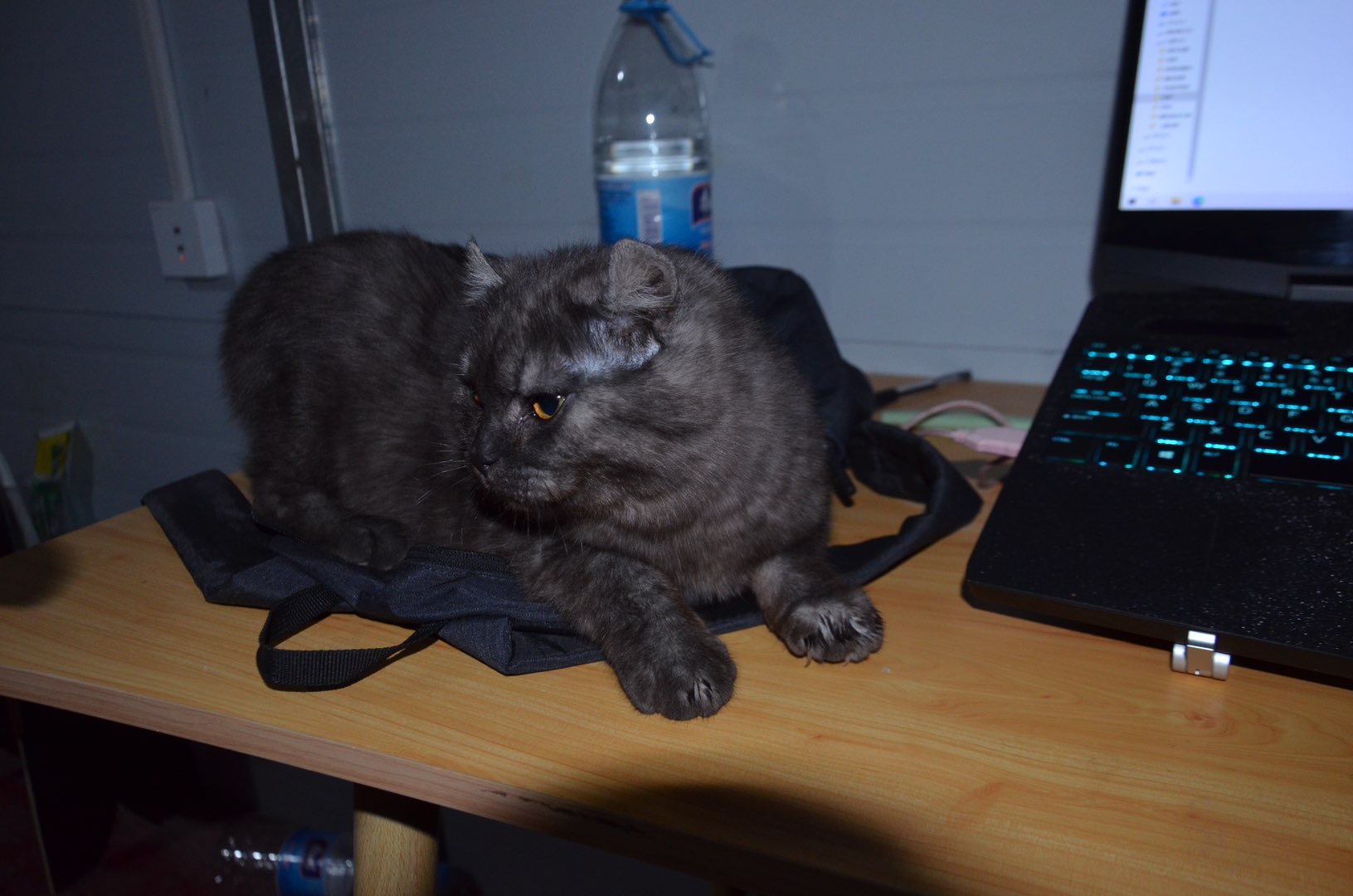 20230330220807front1_0_195673_Ft9tUnA5aTQkDkihxaHQE_mdjZcf.jpg